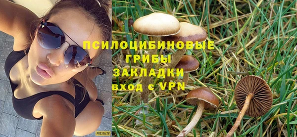 прущие крисы Дмитров