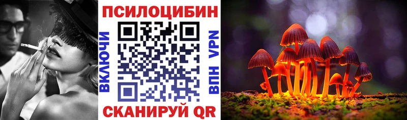 Купить где  Павловск  Галлюциногенные грибы MAGIC MUSHROOMS 