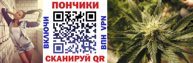Купить  Павловск  Шишки марихуана Ganja 